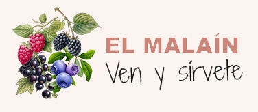 Logo de la Finca El Malaín en Villaviciosa