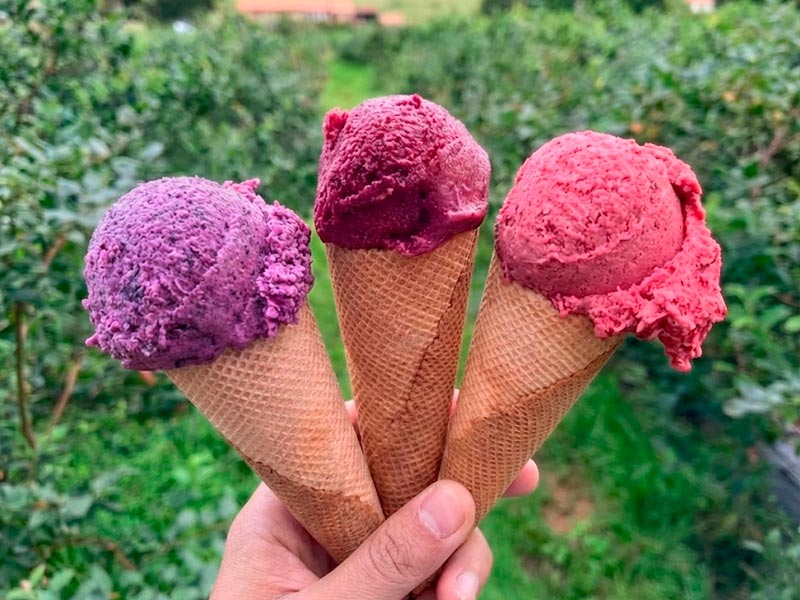 Helados artesanos de varios sabores.